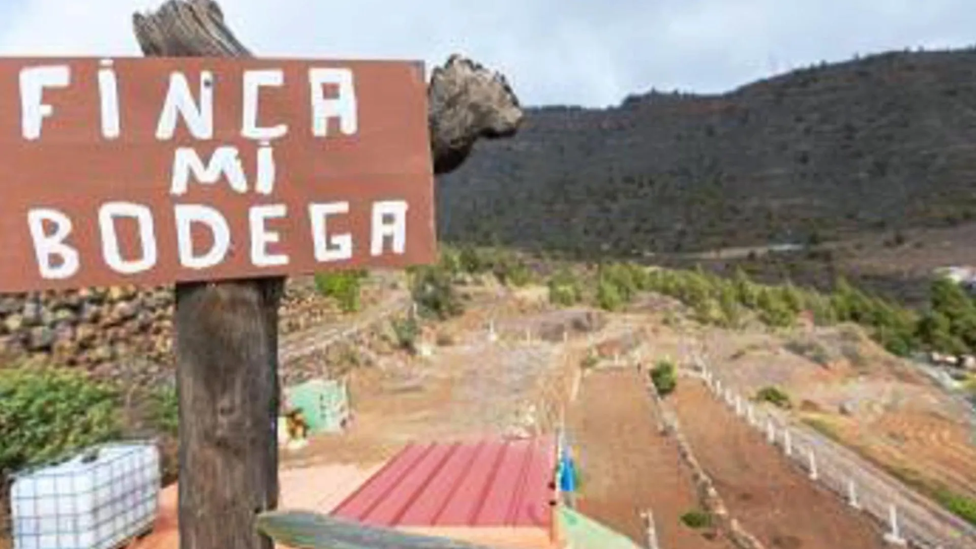 Live Apartamento Finca Mi Bodega Araya  Hiszpania