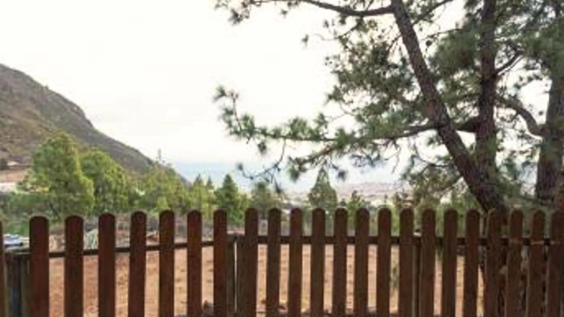 Apartment Live Apartamento Finca Mi Bodega Araya  Spain