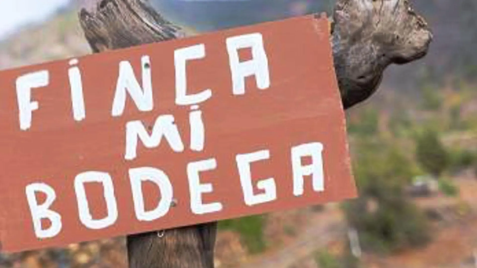 Live Apartamento Finca Mi Bodega Araya  Apartament