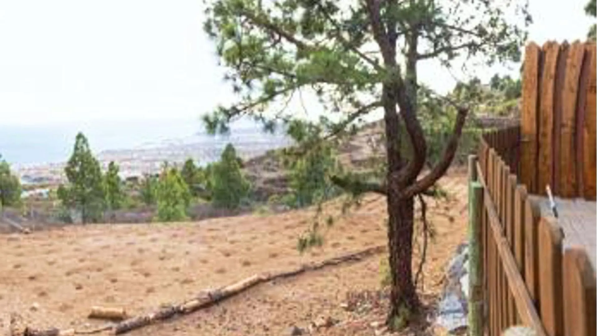 Live Apartamento Finca Mi Bodega Araya